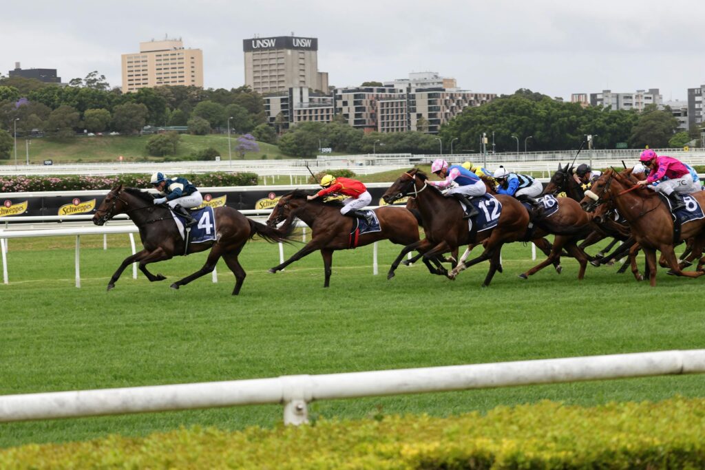 How Predictive Modeling Can Help You Find Winning Horses
